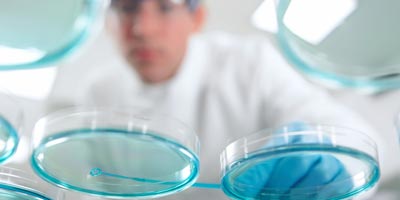 Life Sciences & Healthcare